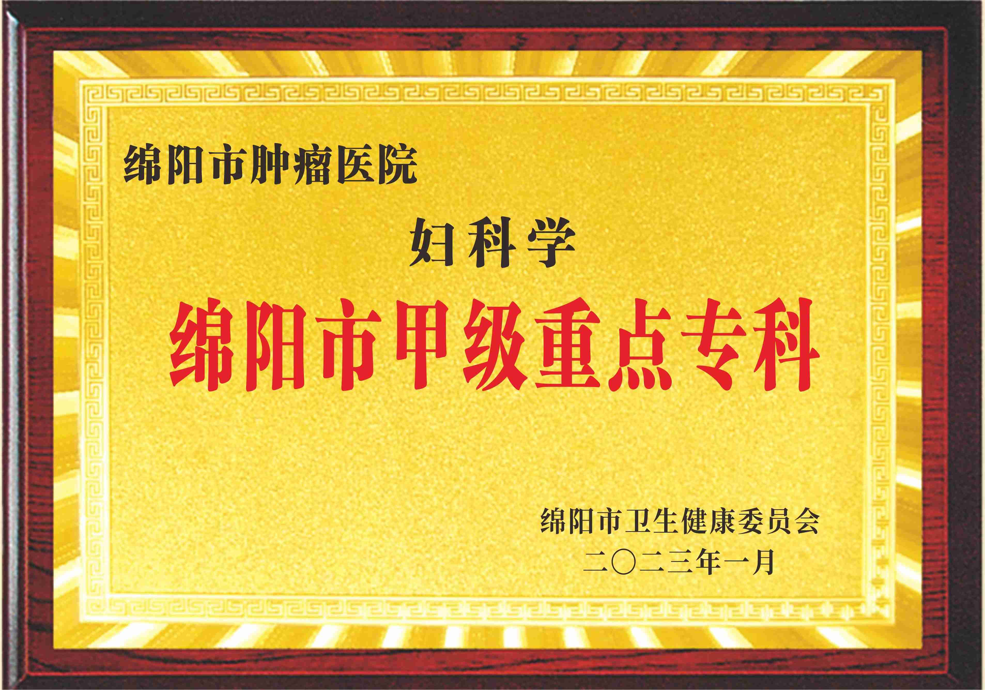 妇产科甲级重点专科(1).jpg